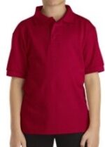 Wholesale Boy’s Polo Shirts – Lot of 360 - Image 3