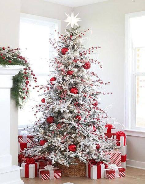 Christmas Tree for sale