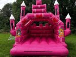 Jumping Castle & Water Slide Liquidation Pallet - Image 3
