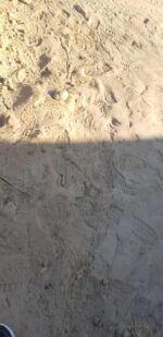 Building Materials Liquidation Pallet - Image 12