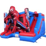 Jumping Castle & Water Slide Liquidation Pallet - Image 6