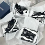 Christian Dior Shoes Pallet