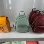 Designer Luxury Backpack Pallets